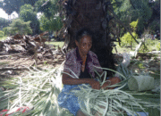  Sew Square-Based Baskets Woven From Palm Fronds // Fontes: Zeconio2024