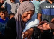 UK and 27 other nations condemn Israel over ‘inhumane killing’ of Gaza civilians seeking aid
