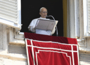 Pope at Angelus: Be a labourer in the field of mission