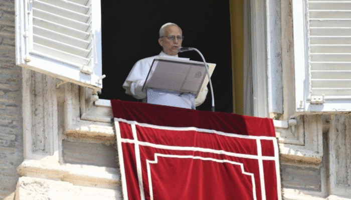 Pope at Angelus: Be a labourer in the field of mission