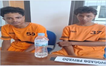 Tribunál Dili detein arguidu na’in rua ba kazu na’ok motor