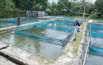 PM Xanana vizita sentru fini ikan Gift Gleno