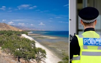 Traballadór Timor-Leste hetan kaer iha prosesu imigrasaun Norfolk nian