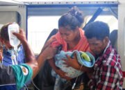 Moras dengue buras iha Timor-Leste: kulpa hotu ba Xanana ho ninia governu